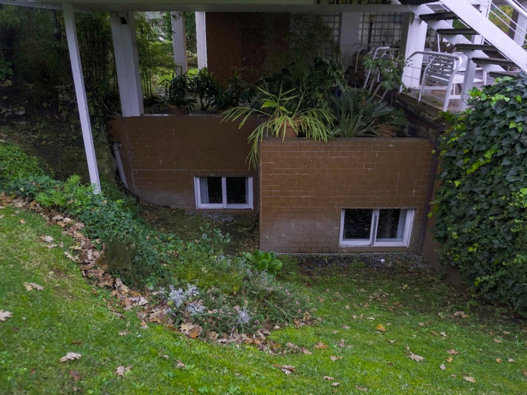 Jardín y vegetación